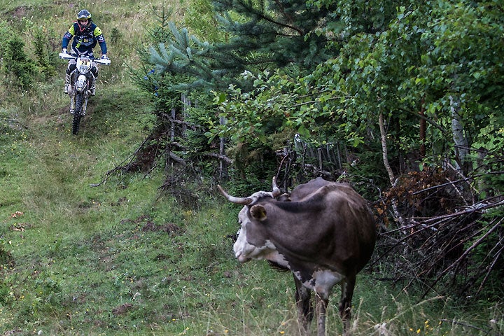 No bull, Mario Roman had a solid day on off-road day three at the Red Bull Romaniacs, finishing third. The Spanish rider is third overall, heading into tomorrow's "Grand Finale." PHOTO COURTESY OF RED BULL CONTENT POOL.