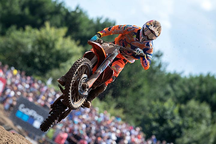 Herlings