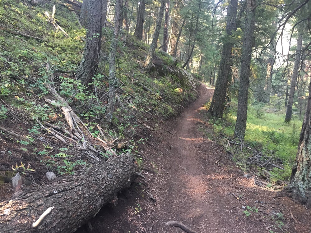 single track dirt bike